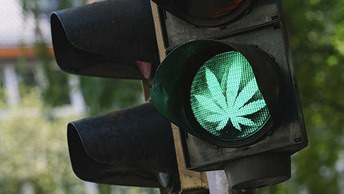 Cannabis Marijuana Leaf inset in Green Traffic Light